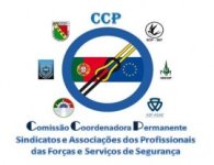 Comissão Coordenadora